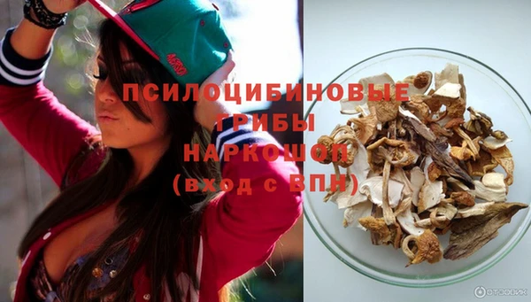 spice Абдулино