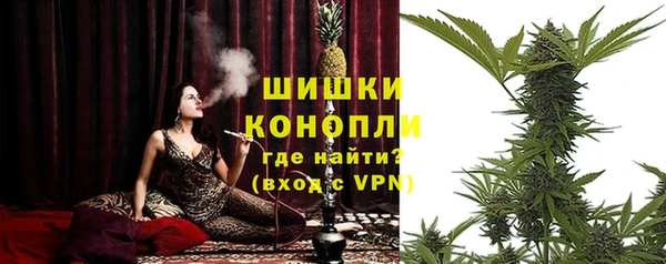 прущий лед Абаза