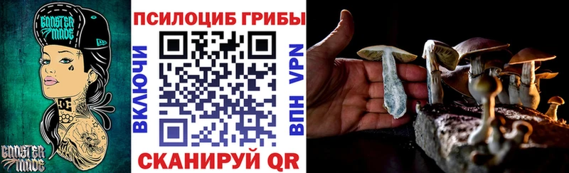 ссылка на мегу маркетплейс  Новосибирск  Псилоцибиновые грибы Psilocybe 